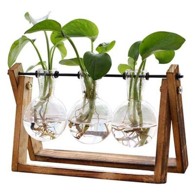 XXXFLOWER Plant Terrarium with wooden stand