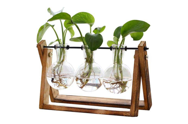 XXXFLOWER Plant Terrarium with wooden stand
